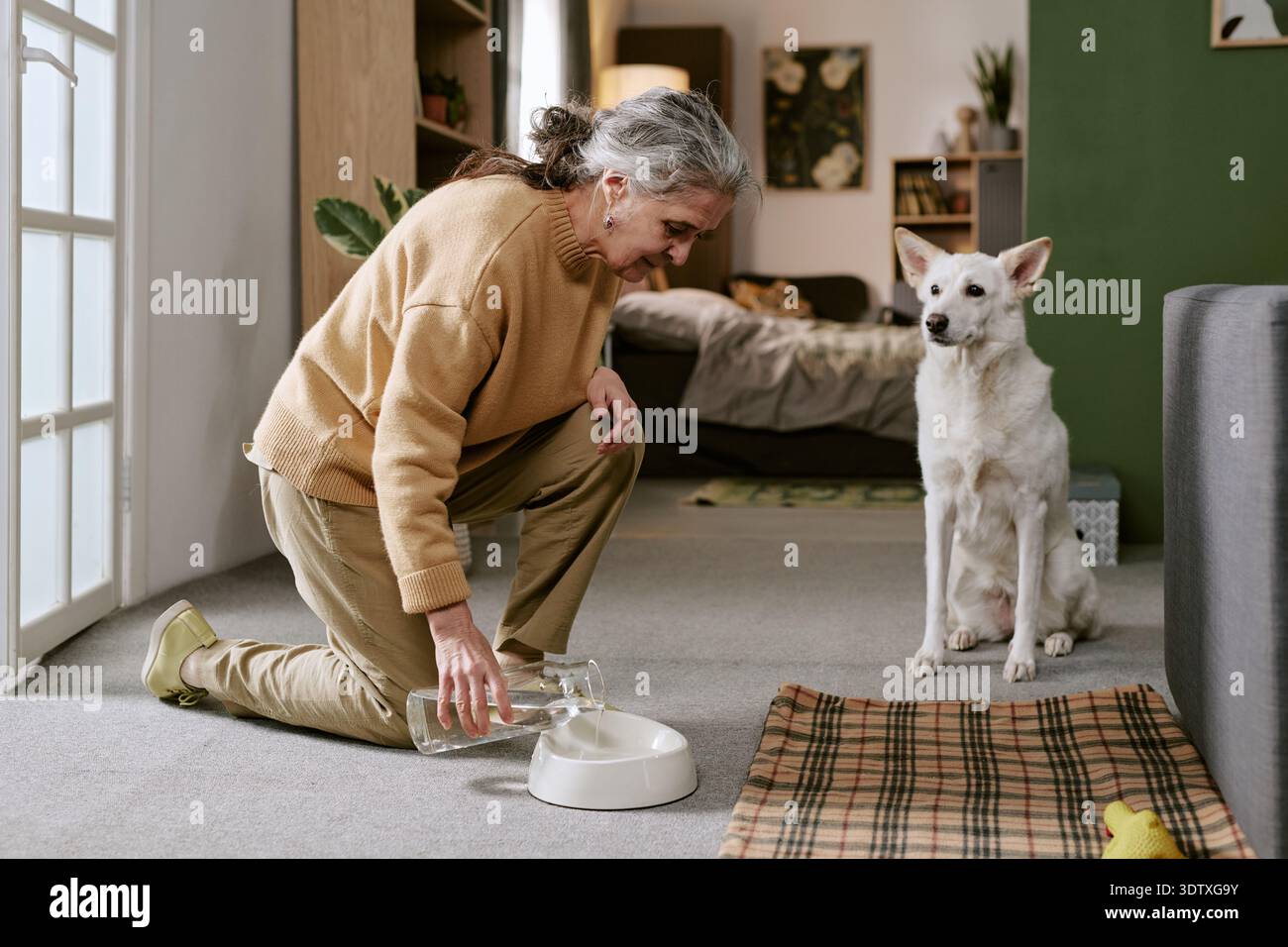 Donna caucasica anziana che versa acqua per cane in casa mentre sorride Foto Stock