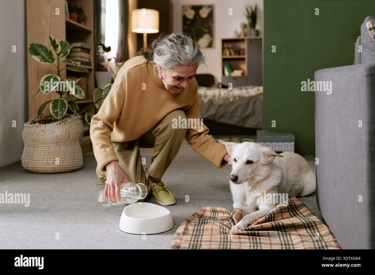 Donna caucasica anziana che versa acqua per cane mentre sorride in casa Foto Stock