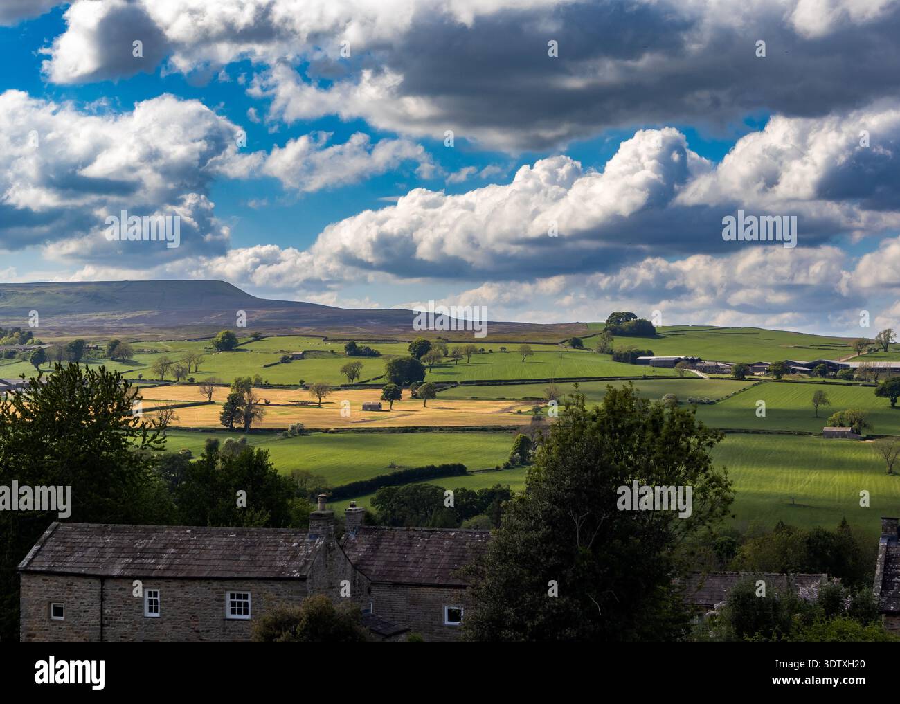 Ammira le tradizionali case in pietra verso un mosaico di verdi pascoli e colline lontane nelle Dales dello Yorkshire Foto Stock