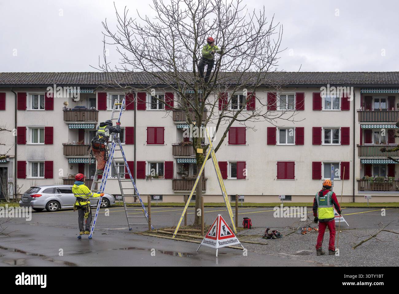 Corso simbolico di potatura degli alberi fotografici, Interlaken, Svizzera Foto Stock