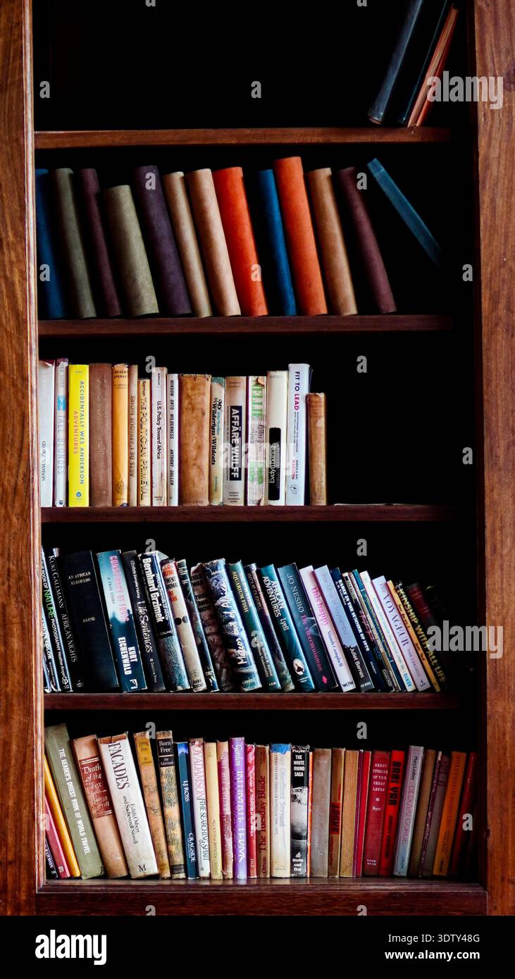 Una libreria in legno piena di libri, che crea un'atmosfera intima e intellettuale in un ambiente interno. Foto Stock