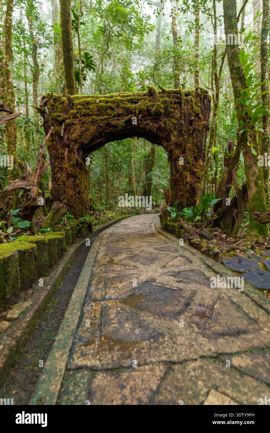 Un arco di legno coperto di muschio si estende su un sentiero lastricato che si snoda attraverso un fitto giardino tropicale. Foto Stock
