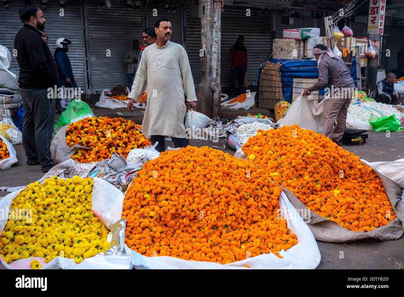 I commercianti si riuniscono intorno a grandi sacchi di calendule arancioni e gialle al mercato all'ingrosso dei fiori mattutini a Chandni Chowk, nella vecchia Delhi. Foto Stock