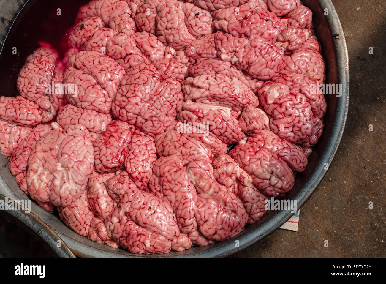 Una vista dall'alto verso il basso di un bacino metallico pieno di cervelli animali crudi, parzialmente sommersi nel sangue, in un mercato della vecchia Delhi. Foto Stock