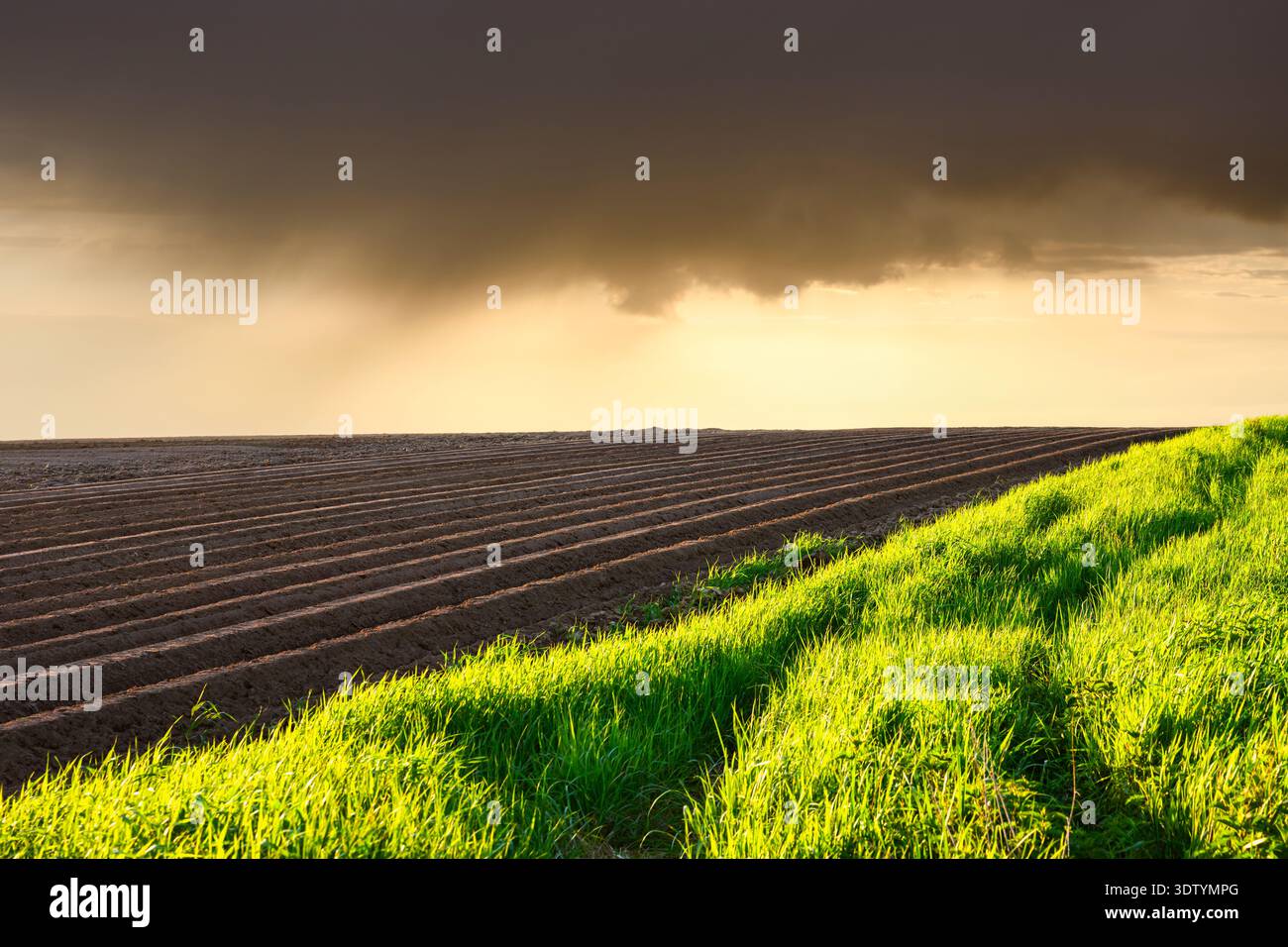 Nuvole di tempesta scure sul campo coltivato con bordo verde erboso. Campagna primaverile, cielo spettacolare, terra agricola, concetto di cambiamento climatico Foto Stock