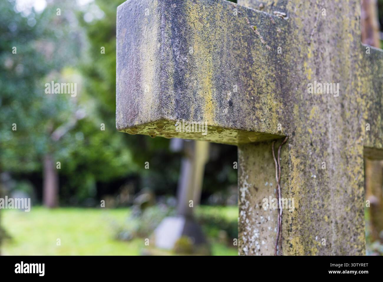 Lichene su una croce di pietra intemprata in un cimitero, Regno Unito Foto Stock