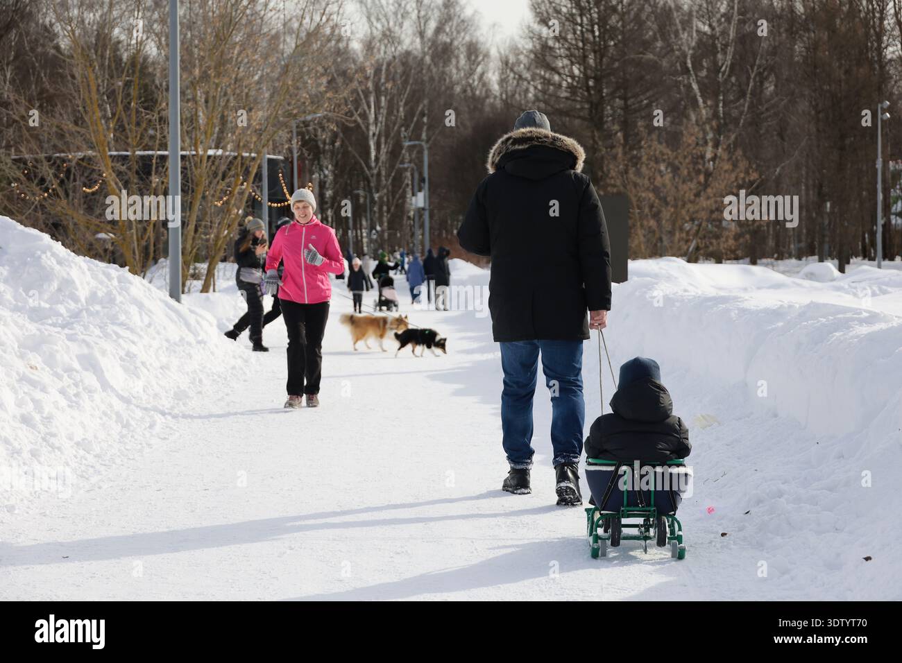 Divertimento per tutta la famiglia nel parco invernale. Uomo che cavalca un bambino sulle slitte dalla neve Foto Stock