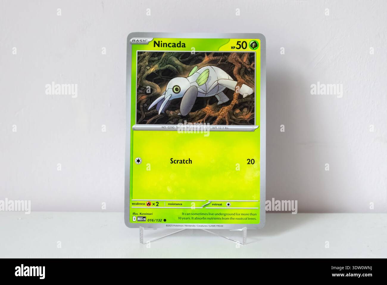 Carta Pokemon. Primo piano e isolato con uno sfondo bianco Foto stock -  Alamy