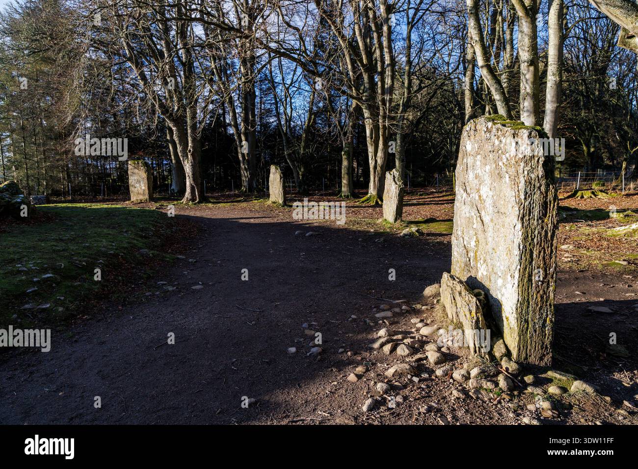 Pietre erette parte del cerchio di pietre, Clava Bronze Age cairns, Inverness, Scozia, Regno Unito Foto Stock