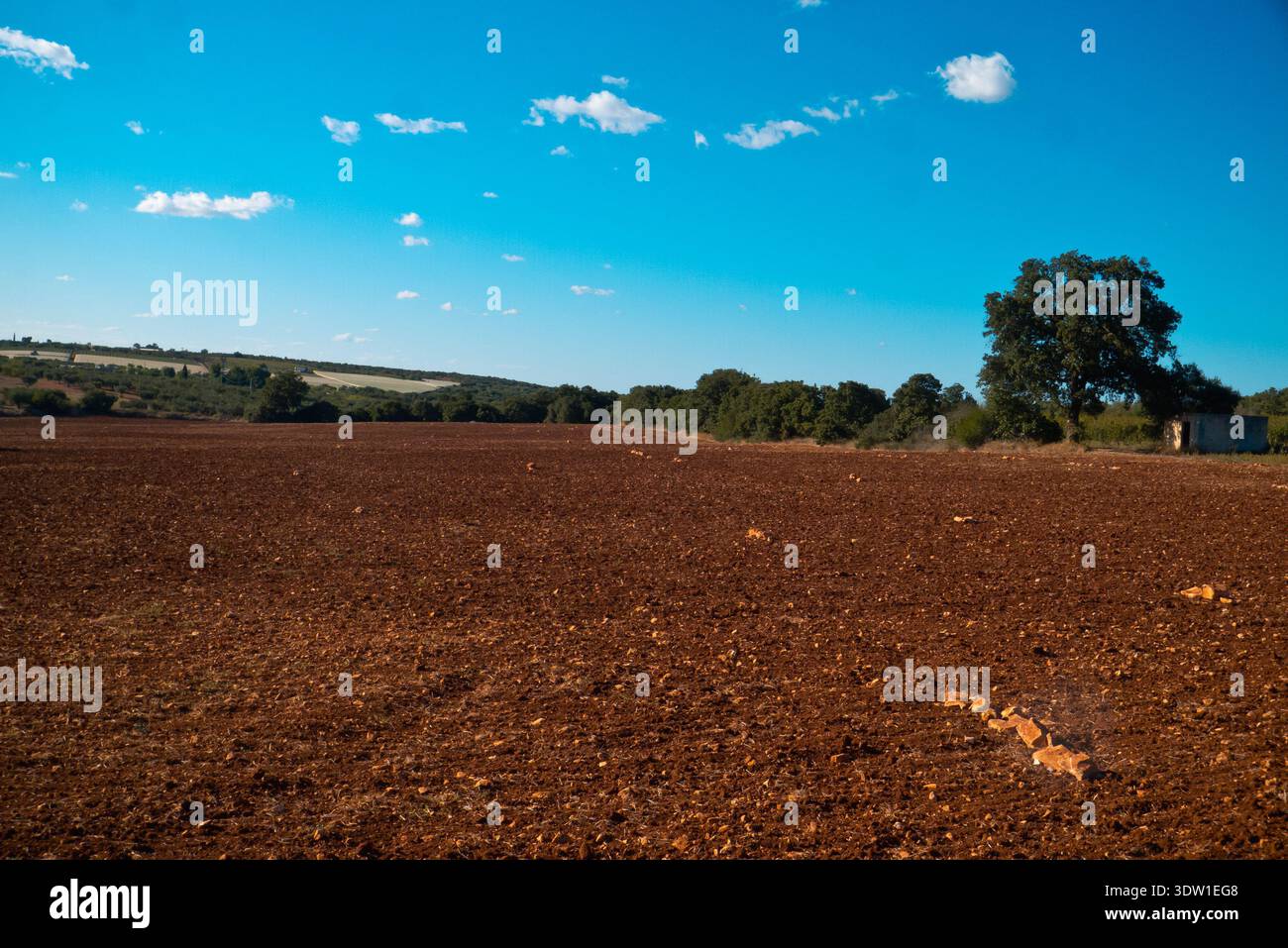 ampio campo agricolo per la semina alla luce del pomeriggio autunnale. Foto Stock