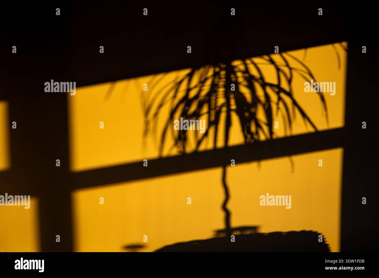 Silhouette minimalista e a contrasto elevato delle foglie di palma e del tronco realizzati su una parete gialla illuminata dal sole. Il gioco astratto di luce e ombra crea un Foto Stock