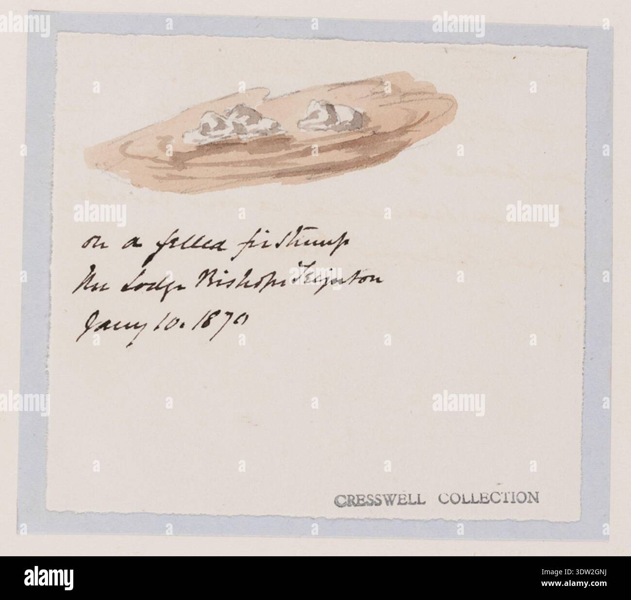 Tremella albida è una specie di funghi gelatinosi descritta in opere tassonomiche del XIX secolo. L'immagine d'archivio registra un disegno ad acquerello, penna e inchiostro del reverendo Richard Cresswell, con l'identificazione dell'inchiostro da parte di un curatore RAMM, Miss Aviolet e Stamp CRESSWELL COLLECTION. La stampa fotografica storica conserva questa illustrazione micologica per la documentazione istituzionale. Foto Stock
