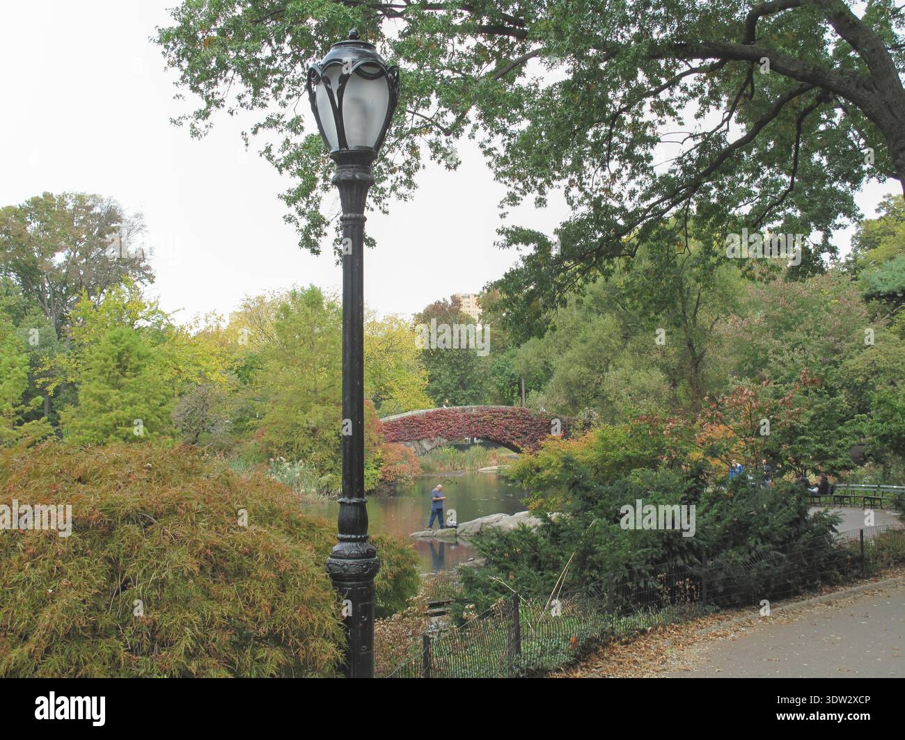 Sentiero alberato che conduce a un ponte di pietra dai caldi colori autunnali. Un ingresso tranquillo nel paesaggio interno del parco. Foto Stock