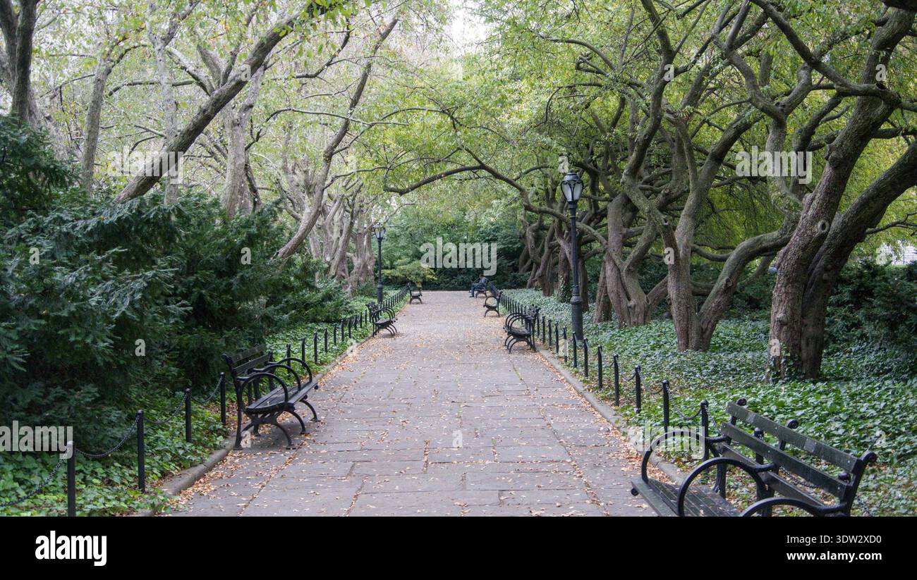 Tranquillo passaggio pedonale con panchine sotto un baldacchino di alberi. Un momento tranquillo nel cuore del parco. Foto Stock