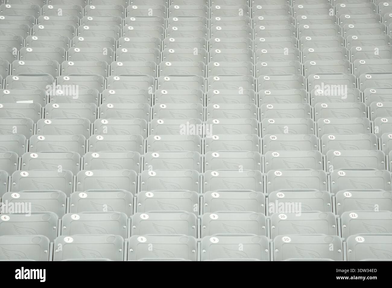 Le file di sedili, ciascuna con un'etichetta numerata bianca, sono disposte saldamente in una griglia. I posti a sedere fanno parte di una grande area salotto organizzata Foto Stock