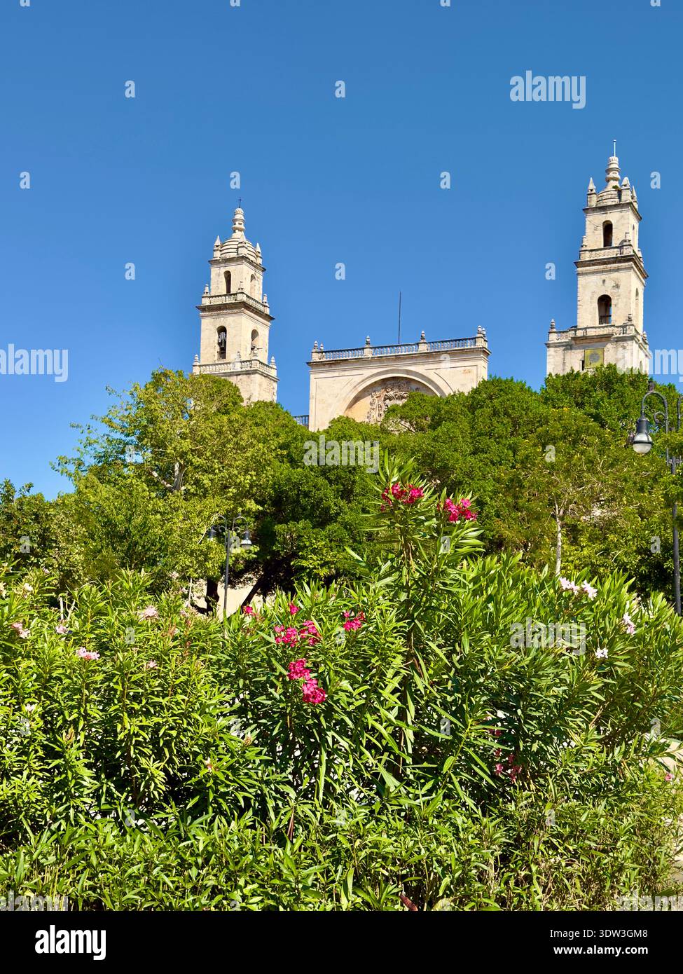 Plaza grande, Cattedrale, Merida Mexico Foto Stock