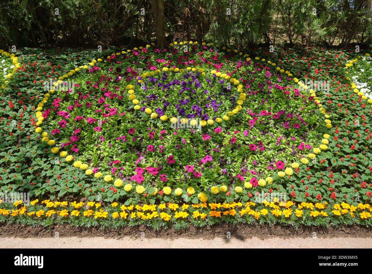 Nuovo letto da giardino dal design fiorito. Preparare e piantare fiori nei giardini pubblici per le celebrazioni del giorno di maggio. A Dushanbe, Tagikistan. Foto Stock