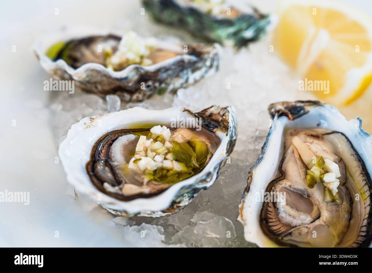 Ostriche fresche sul ghiaccio con limone: Delizie culinarie e specialità di pesce gourmet Foto Stock