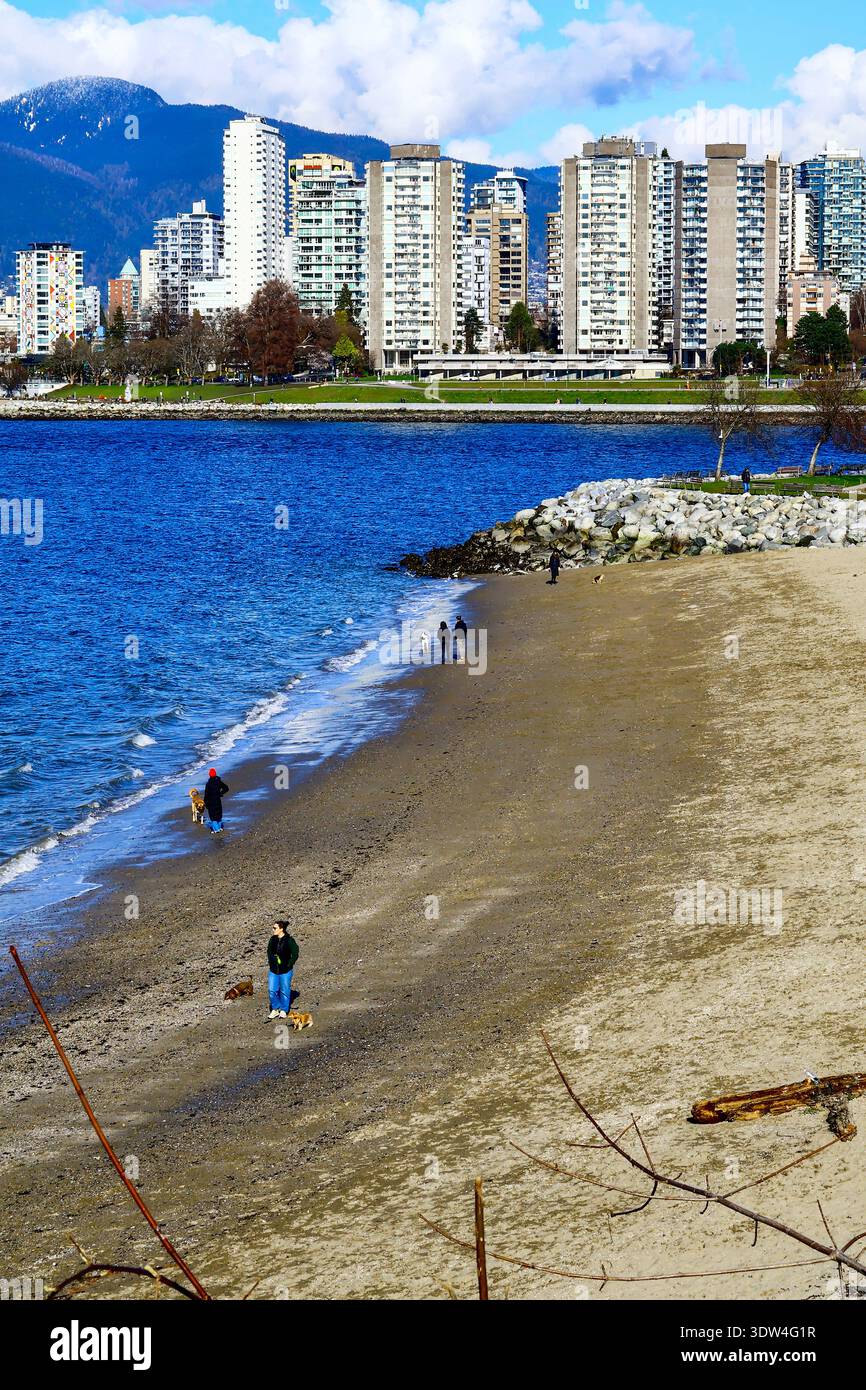Hadden Dog Beach lungo English Bay a Kitsilano, Vancouver, British Columbia. Il West End della città è dall'altra parte della baia. Foto Stock
