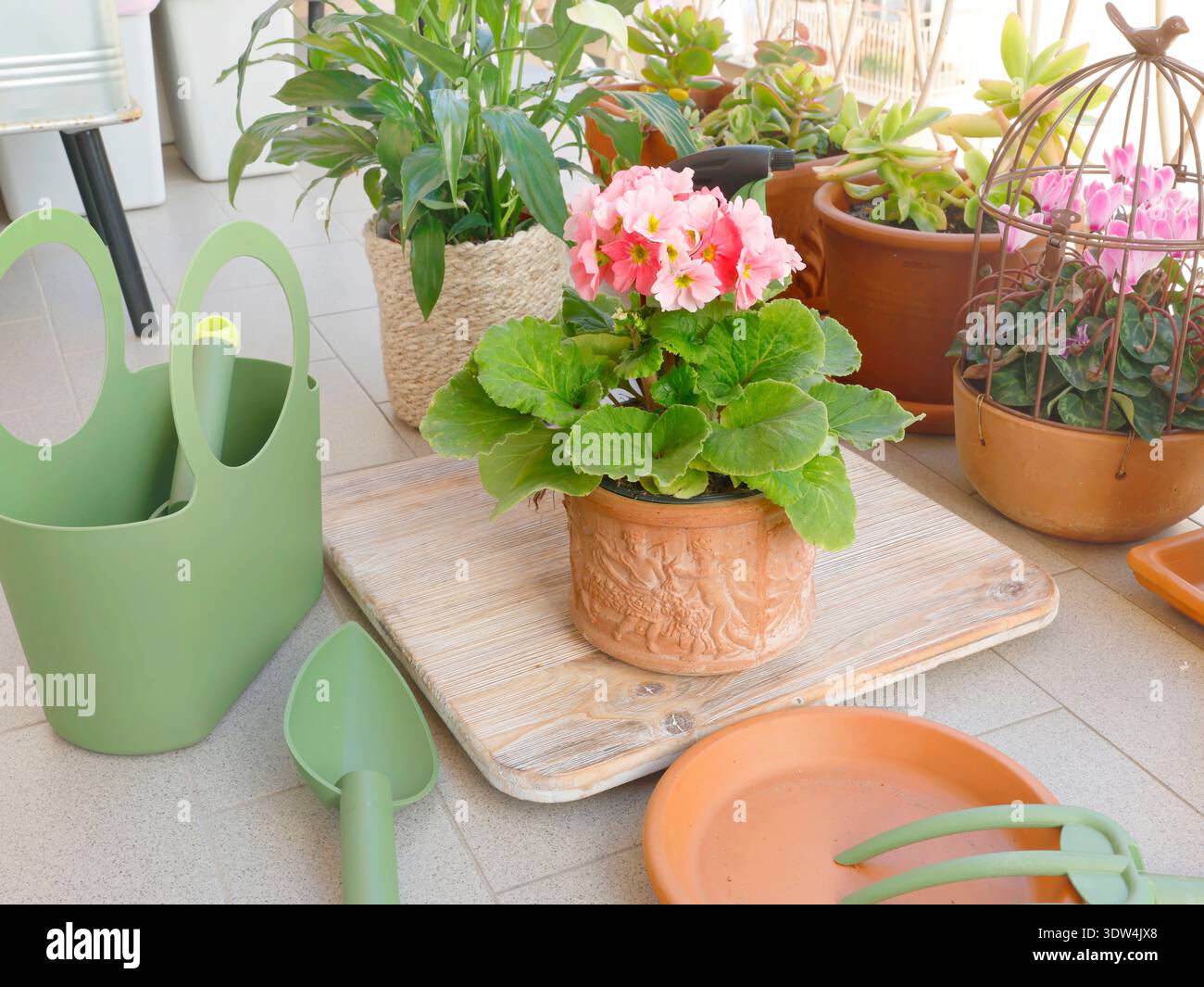 Fiori in vaso sul balcone. Attrezzi da giardinaggio. Cura della natura e delle piante. Design degli interni. Foto Stock
