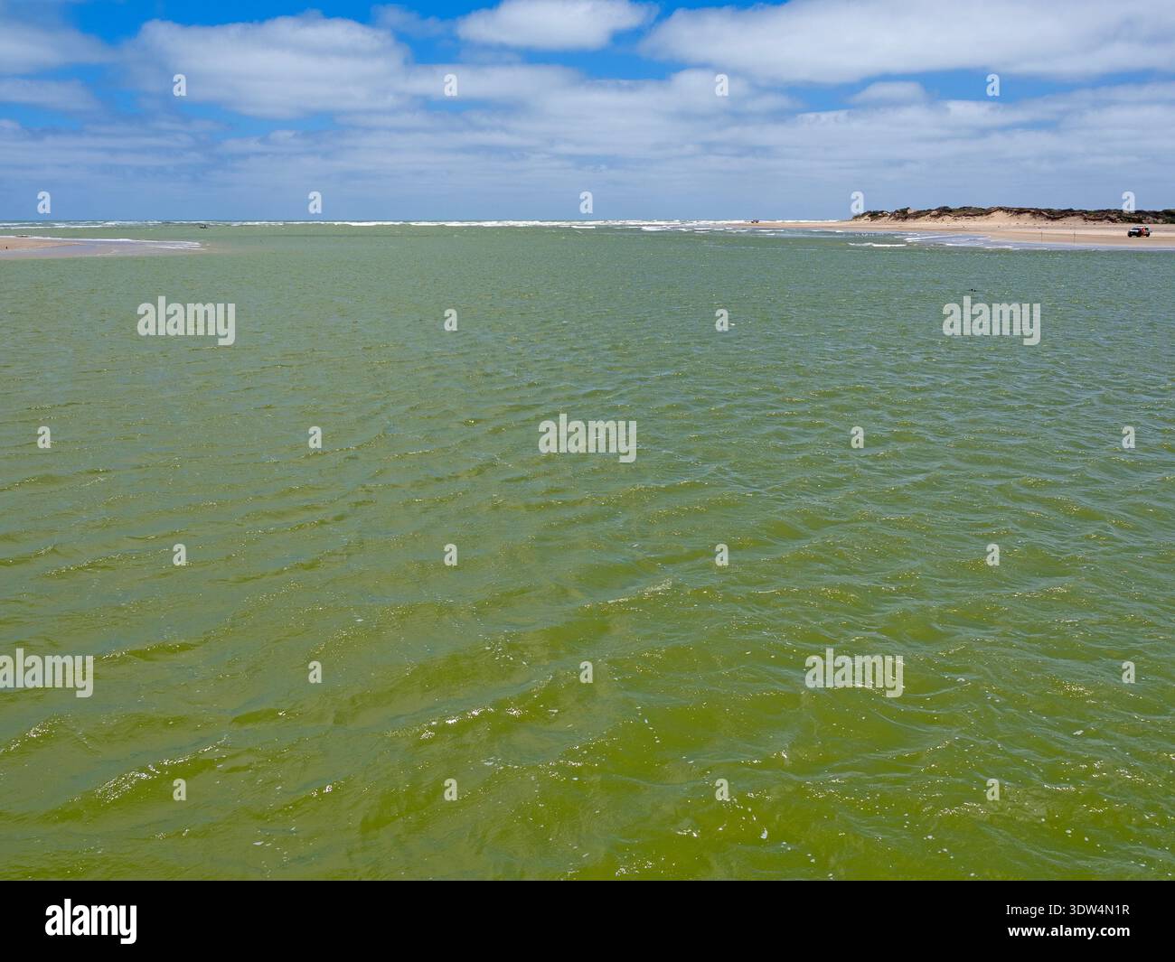 La foce del fiume Murray, il Parco Nazionale di Coorong Foto Stock