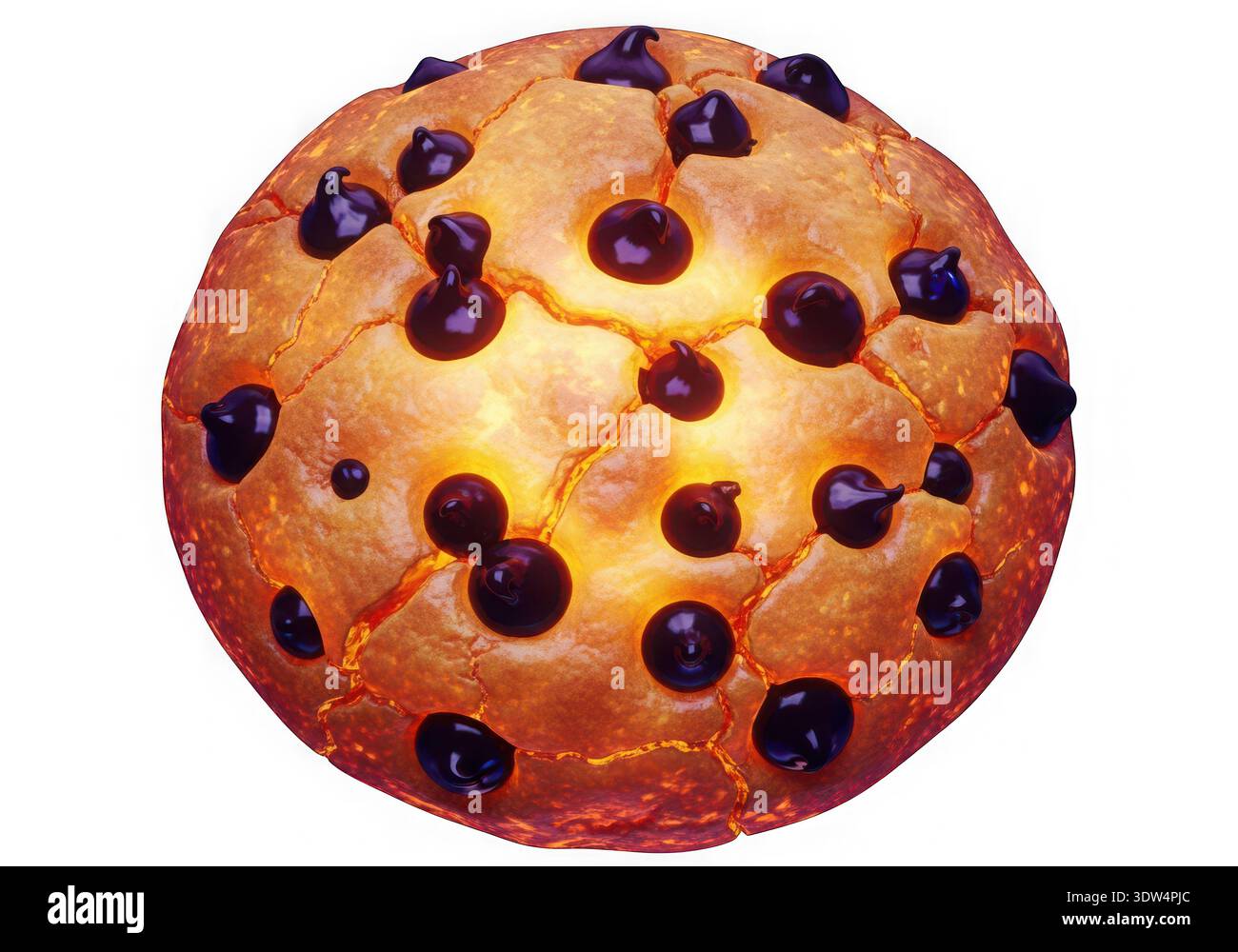 Questa immagine offre una vista ravvicinata di un biscotto al cioccolato appena sfornato. Il biscotto ha un esterno marrone dorato con una consistenza leggermente croccante, wh Foto Stock