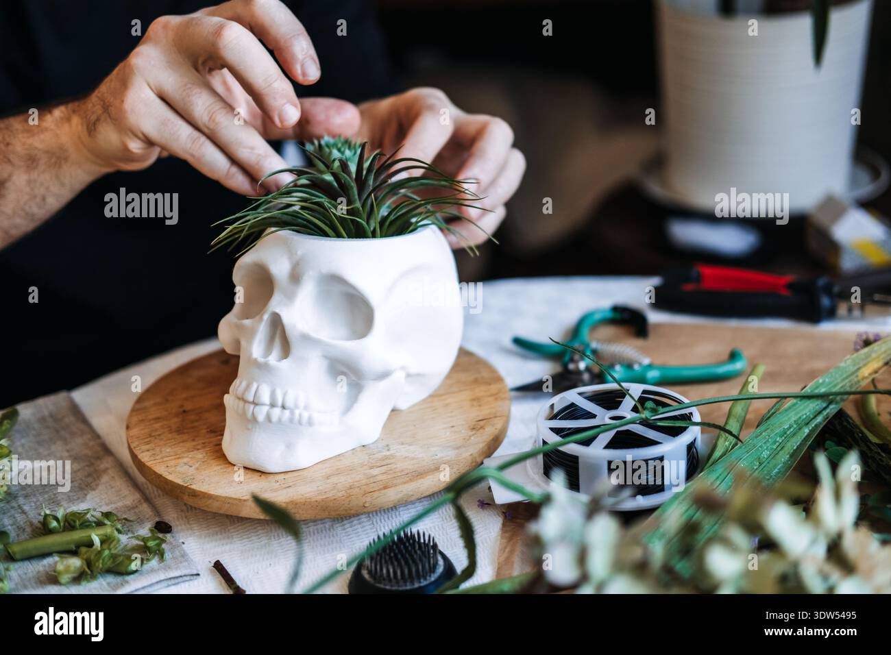 Le mani tengono in mano la piantatrice a cranio bianco contenente verde succulento su sfondo scuro. Regali personalizzati, tendenze di nicchia dei consumatori, oggetti da collezione artigianali Foto Stock