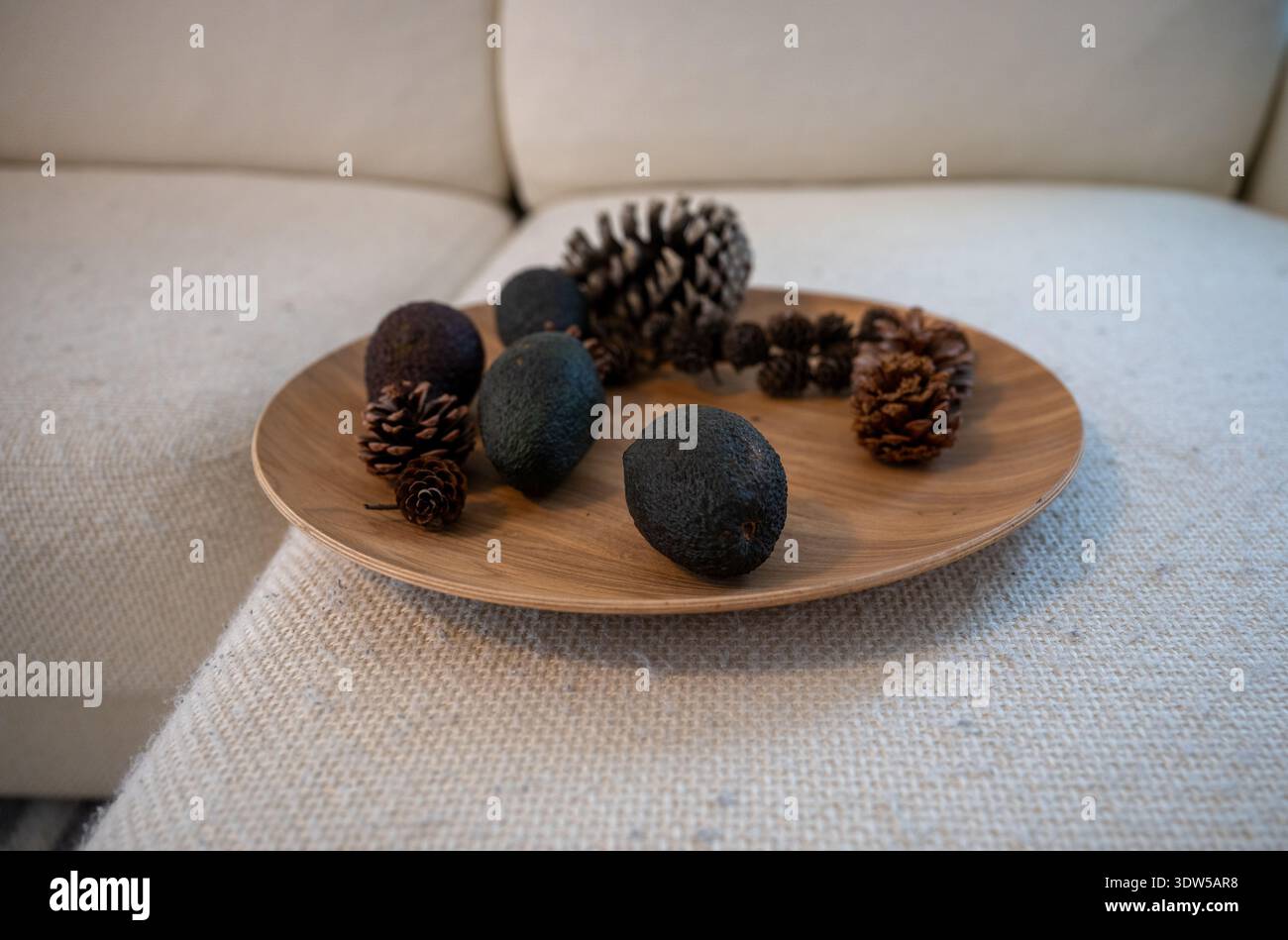 Piatto decorativo in legno con coni di pino ed elementi naturali sul divano in interni minimalisti Foto Stock