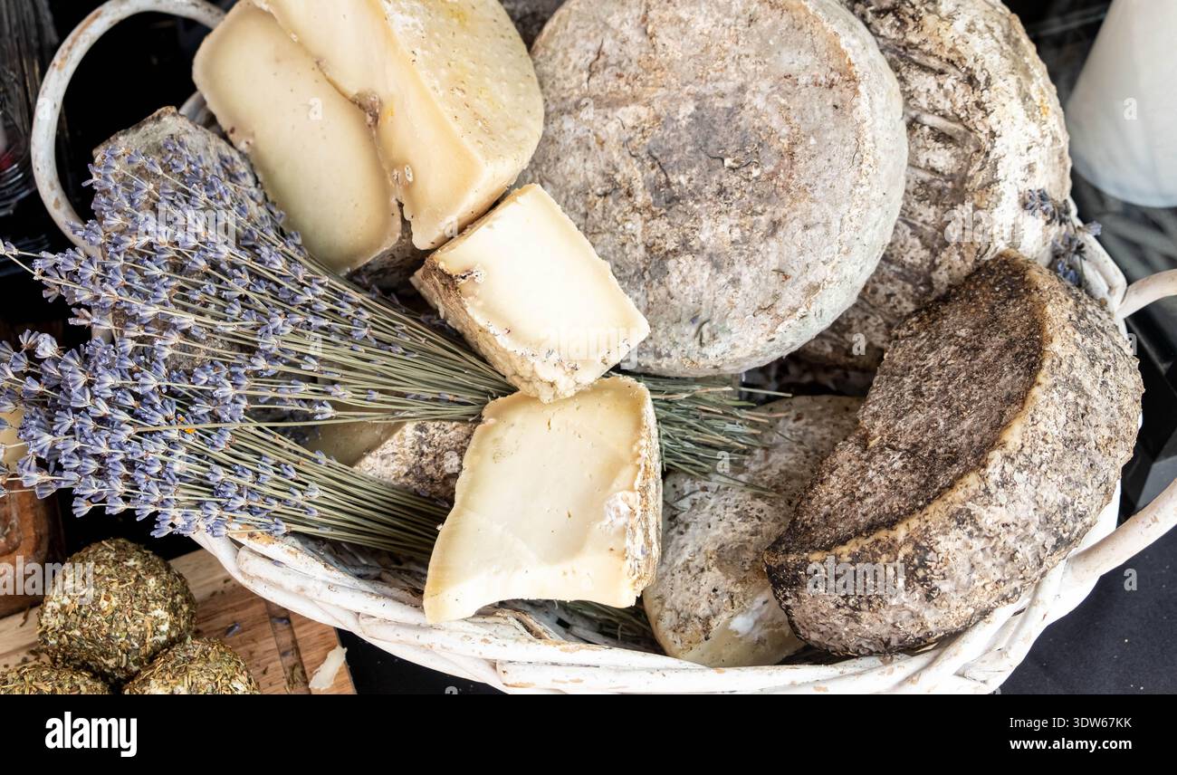 teste di formaggio caprino duro in un cesto di vimini e un bouquet di lavanda. vista dall'alto. Produzione locale di formaggio in Ucraina. Foto Stock