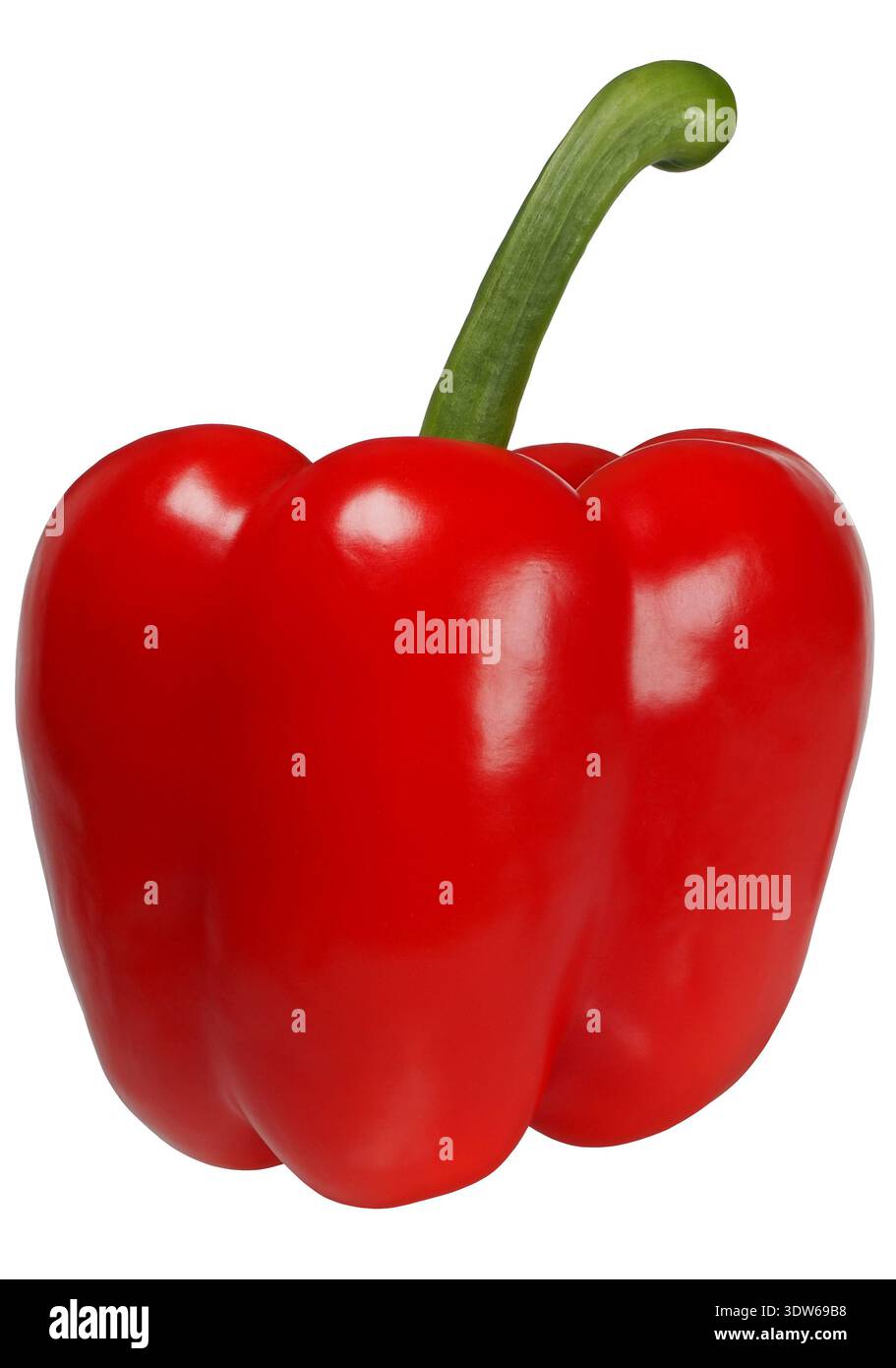 Peperone rosso su sfondo bianco Foto Stock