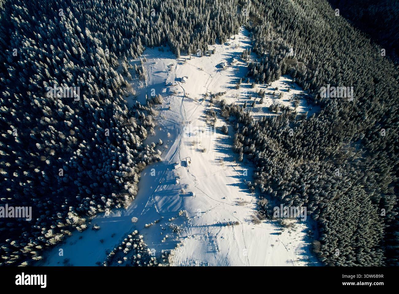 La vista dall'alto verso il basso rivela un paesaggio innevato con piccoli gruppi di edifici circondati da fitte foreste di pini. Le lunghe ombre di alberi e strutture creano intricati motivi sulla neve incontaminata. Foto Stock