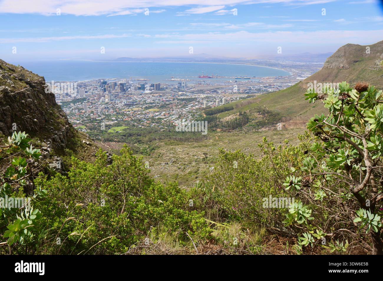 Vista di Città del Capo da Table Mountain, Sud Africa Foto Stock