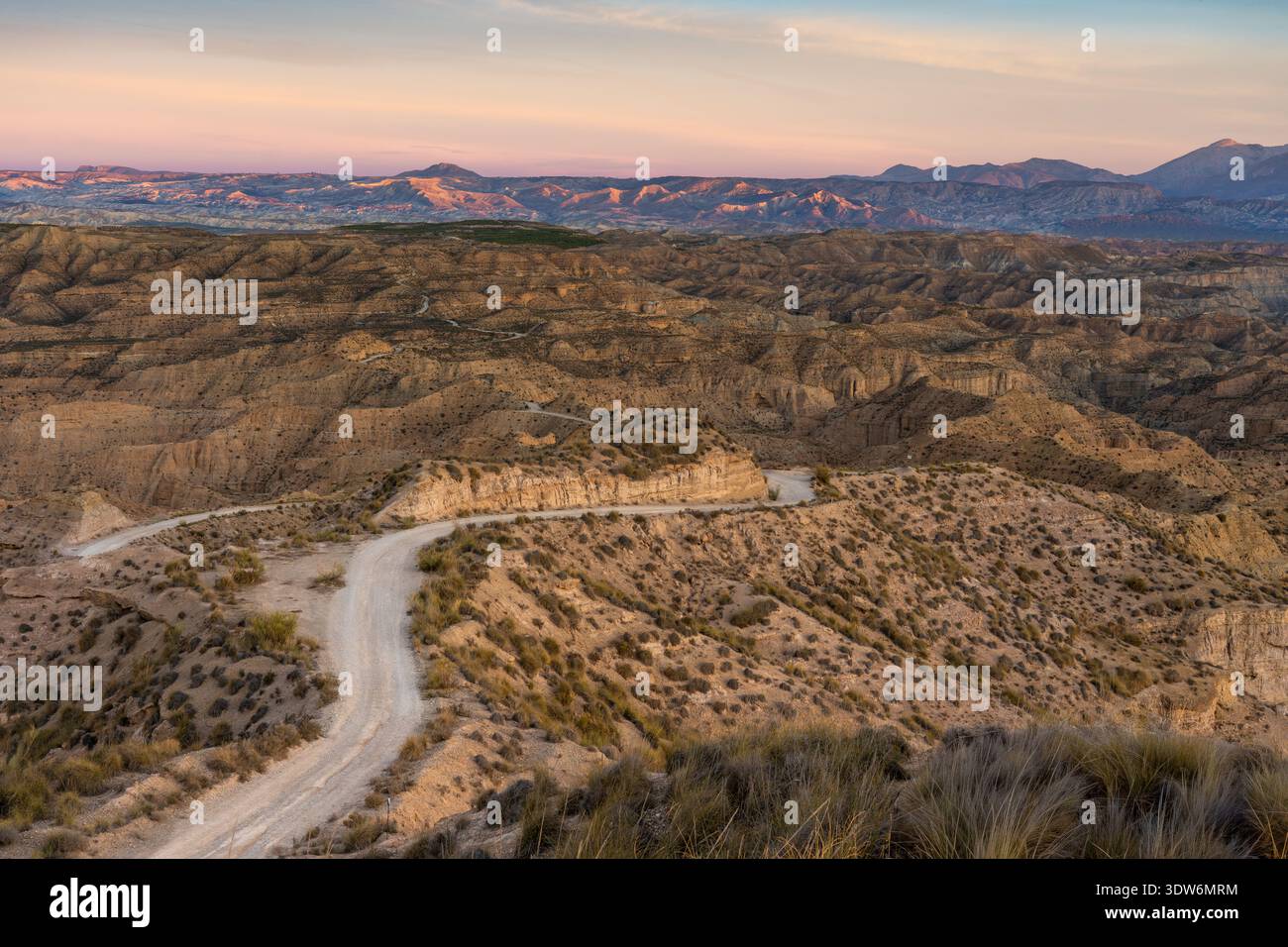 La vista di tortuose strade sterrate attraversa il paesaggio arido sotto un tramonto morbido, rivelando le texture della terra, Gorafe, Andalucía, Spagna. Foto Stock
