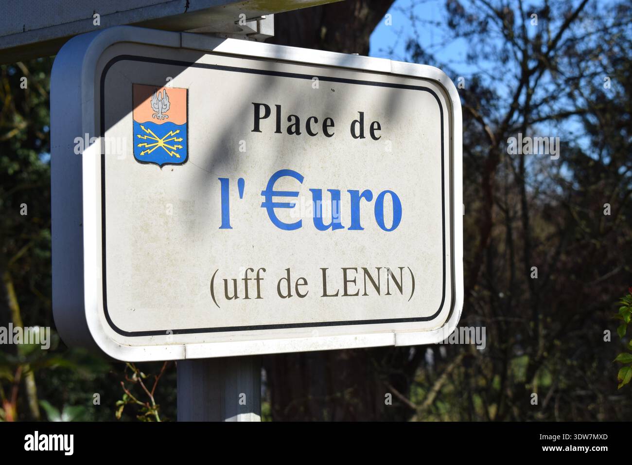 Segno della piazza della moneta in euro a Grosbliederstroff, Francia Foto Stock