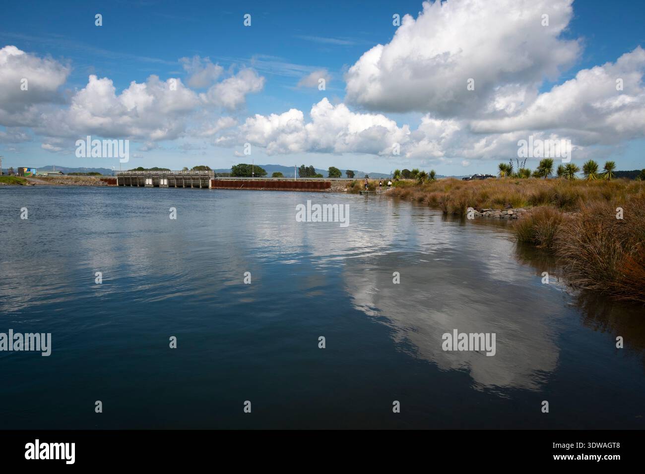 Estuario di Maketu, Bay of Plenty, North Island, nuova Zelanda Foto Stock