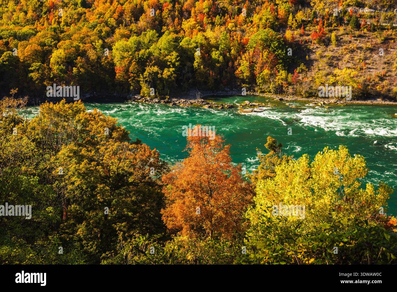 Il fiume Niagara è circondato da una colorata foresta autunnale con fogliame vibrante e acque turchesi Foto Stock