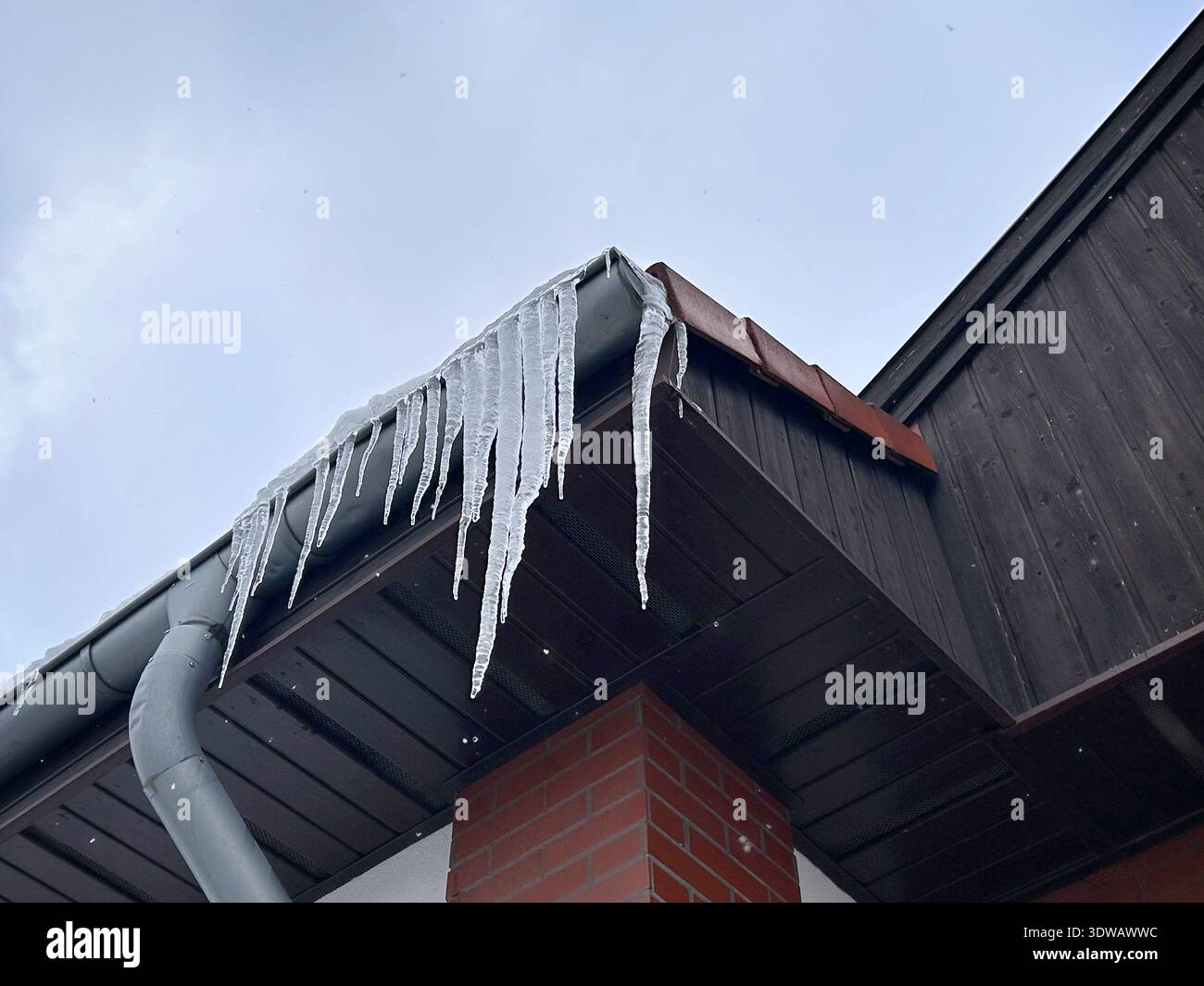 Lunghi ghiaccioli taglienti che si formano lungo il bordo del tetto di una casa e del tubo di scarico in inverno freddo Foto Stock