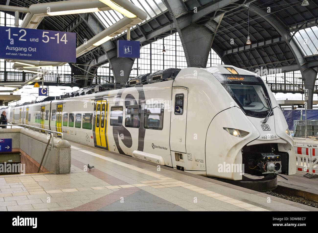 S-Bahn, Hauptbahnhof, Karlsruhe, Baden-Württemberg, Deutschland Foto Stock