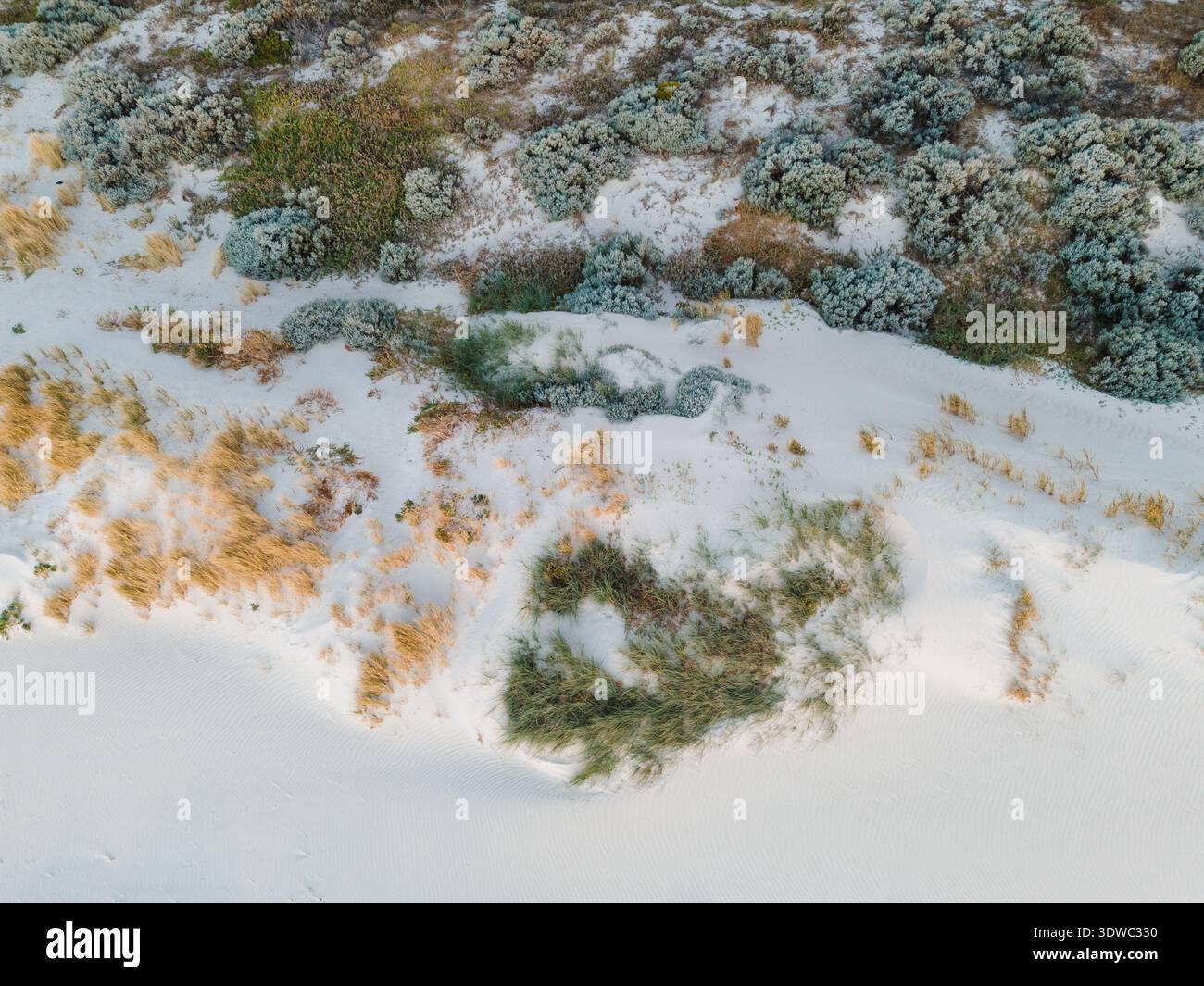 Vista aerea delle dune scolpite dal vento, dove le erbe dorate incontrano le sabbie bianche, una costa frastagliata che abbraccia la bellezza selvaggia della natura, Two Rocks, Foto Stock