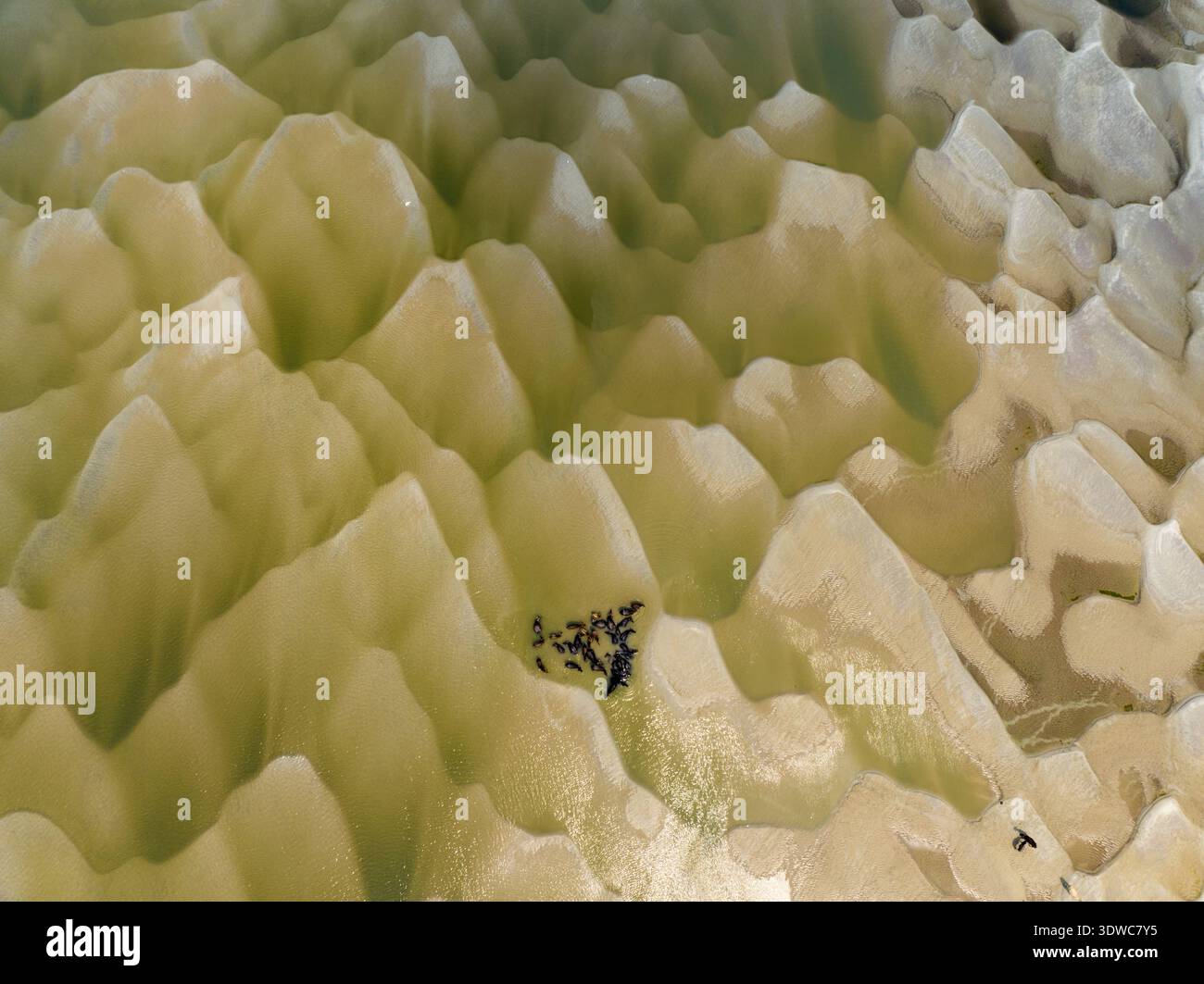 Vista aerea delle dune ondulate di sabbia dorata che incontrano un corpo d'acqua poco profondo e verde pallido, creando un affascinante contrasto di texture e tonalità, Rajshahi, Foto Stock