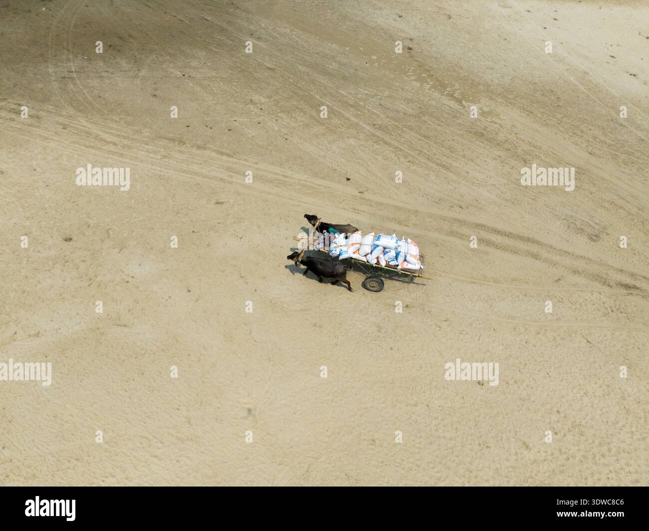 Vista aerea di un carro di buoi che trasporta merci attraverso la distesa sabbiosa, le tonalità terrose contrastano con il carico luminoso, Rajshahi, Rajshahi Division, Foto Stock