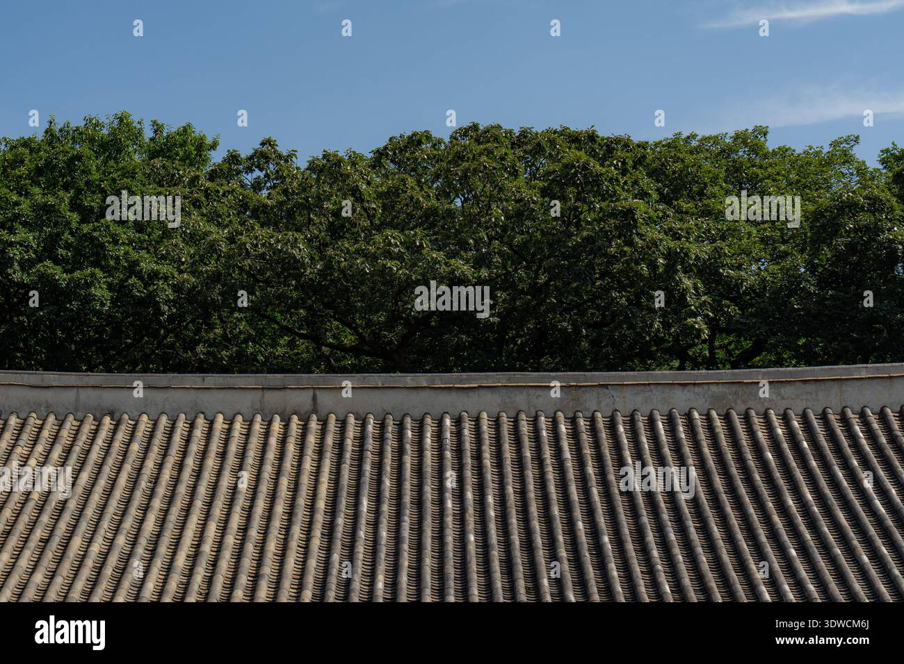 Tradizionale tetto in piastrelle coreane con alberi verdi e cielo blu in Corea del Sud Foto Stock