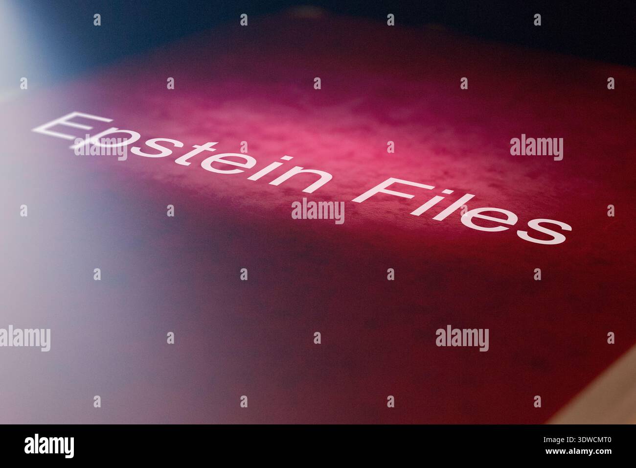 Immagine simbolica della cartella Epstein Files: Corner con FILE EPSTEIN di testo (aggiunti digitalmente) Foto Stock
