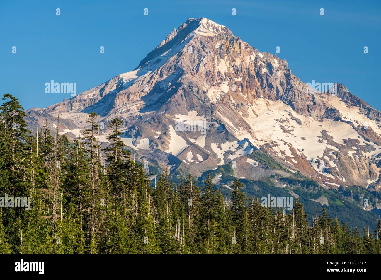 Vista panoramica di Mount Hood, Lost Lake, Oregon, Stati Uniti Foto Stock