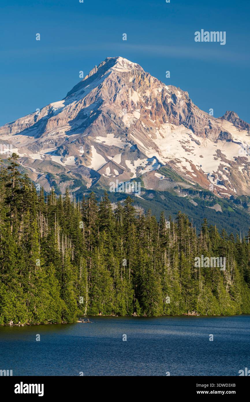 Vista panoramica sul lago Lost con Mount Hood sullo sfondo, Oregon, Stati Uniti Foto Stock