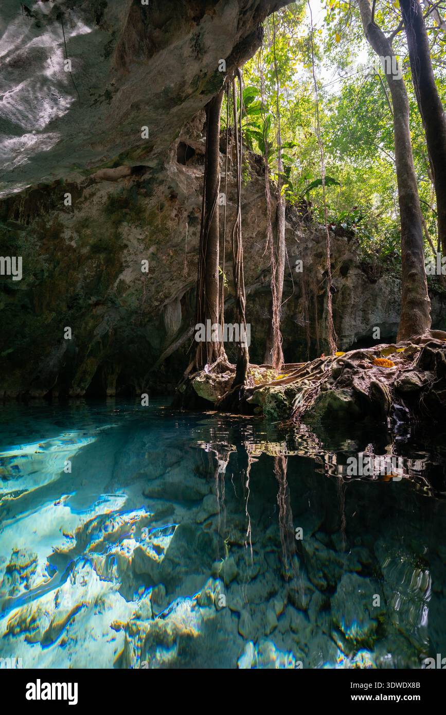 La tranquilla bellezza del Cenote di Tulum in Messico, caratterizzato da acque cristalline, vegetazione lussureggiante e splendide formazioni geologiche. Una gemma nascosta in Th Foto Stock