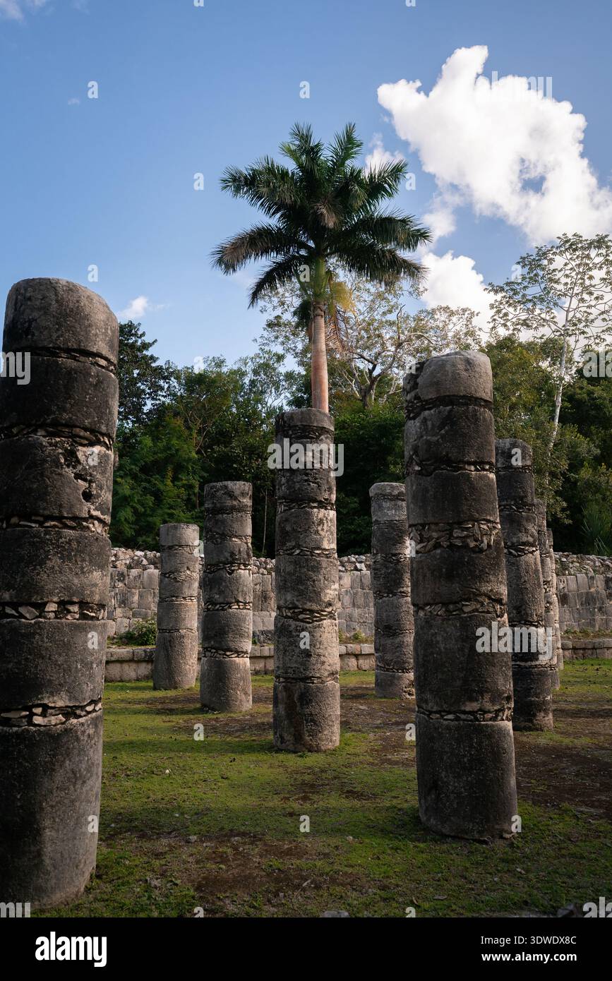 Maestose colonne di pietra sorgono sotto una palma torreggiante a Chichen Itza, Messico. Il sito mette in mostra la grandezza dell'architettura maya messa a confronto con una V Foto Stock