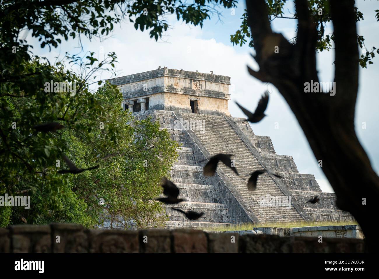 Vista di una maestosa antica piramide che si innalza attraverso una vegetazione lussureggiante, circondata da vivaci uccelli in volo. Una scena iconica che cattura il mistero di Chiche Foto Stock