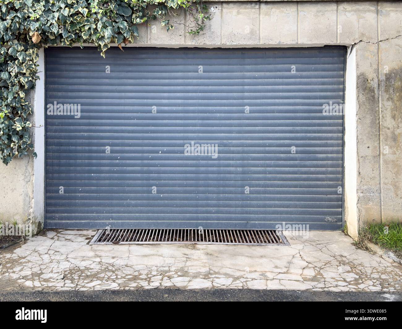 Una vecchia porta del garage con una superficie ruvida si trova sotto le pareti in cemento rivestite di edera. La scena trasmette un'atmosfera di fascino rustico, fondendosi con la natura Foto Stock