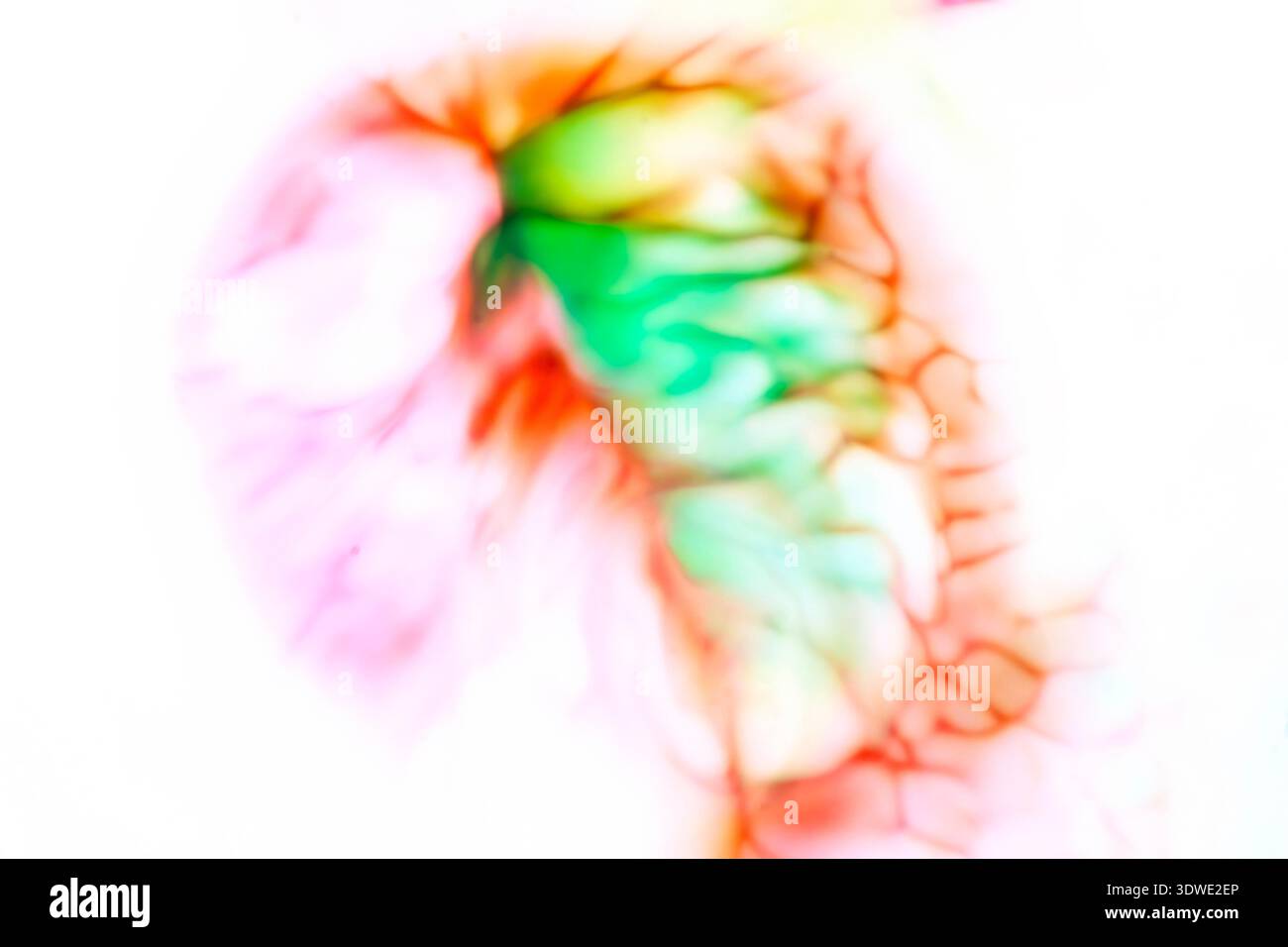 Grafica astratta con pennellate di colore vivaci, che si fondono perfettamente in uno stile impressionistico fluido. La composizione dinamica evoca un sen Foto Stock